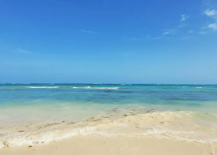 Luxury Jungle Loft, 7 Pools, Rooftop Panoramic View, Shuttle, Fast Wifi * Tulum